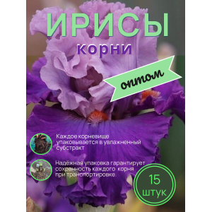 Ирисы / ОПТ 15 штук 